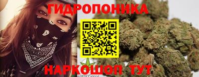 амф Будённовск