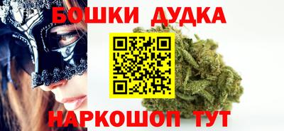 МДПВ Обь