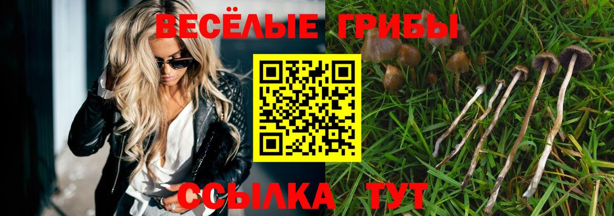 Галлюциногенные грибы GOLDEN TEACHER  Псилоцибиновые грибы GOLDEN TEACHER  Вход с VPN  где купить наркоту  Заречный 
