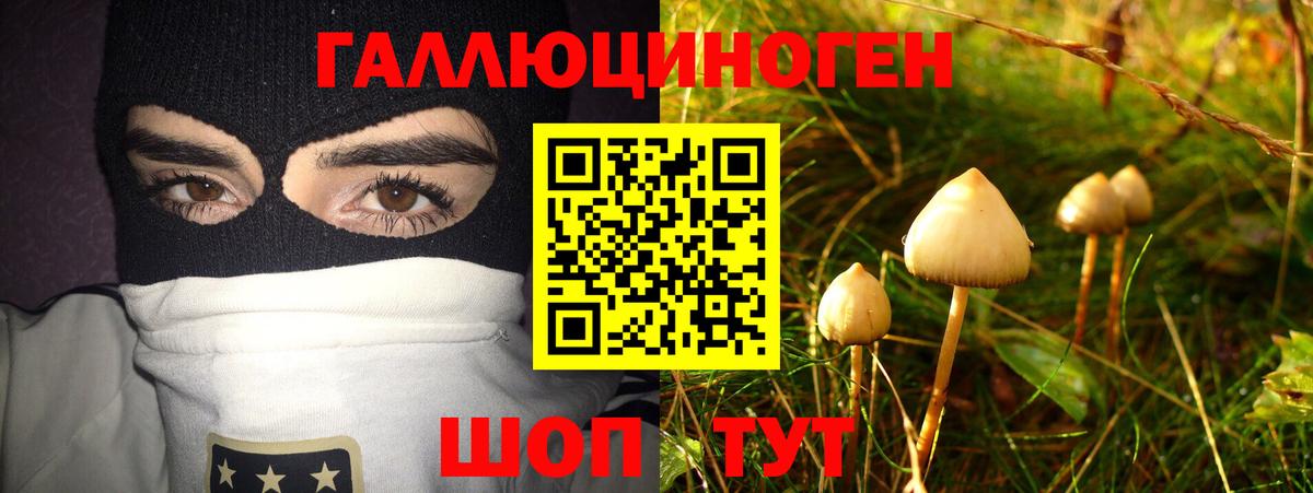 Псилоцибиновые грибы Magic Shrooms Заречный